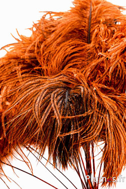 Rispe Strauß - 35-40 cm - aztekengold-naturgrau